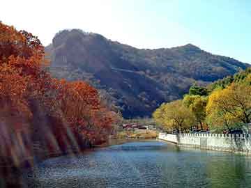 管家婆黑白马报图库，2012龙票价格